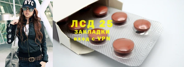 амф Бородино