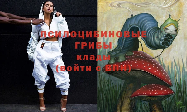 spice Новосибирск