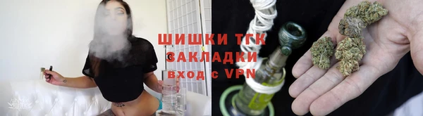 амф Бородино