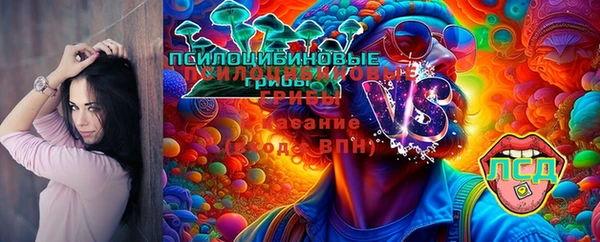 MDMA Premium VHQ Бугульма