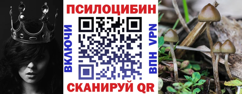 ссылка на мегу рабочий сайт Полтавская Галлюциногенные грибы GOLDEN TEACHER